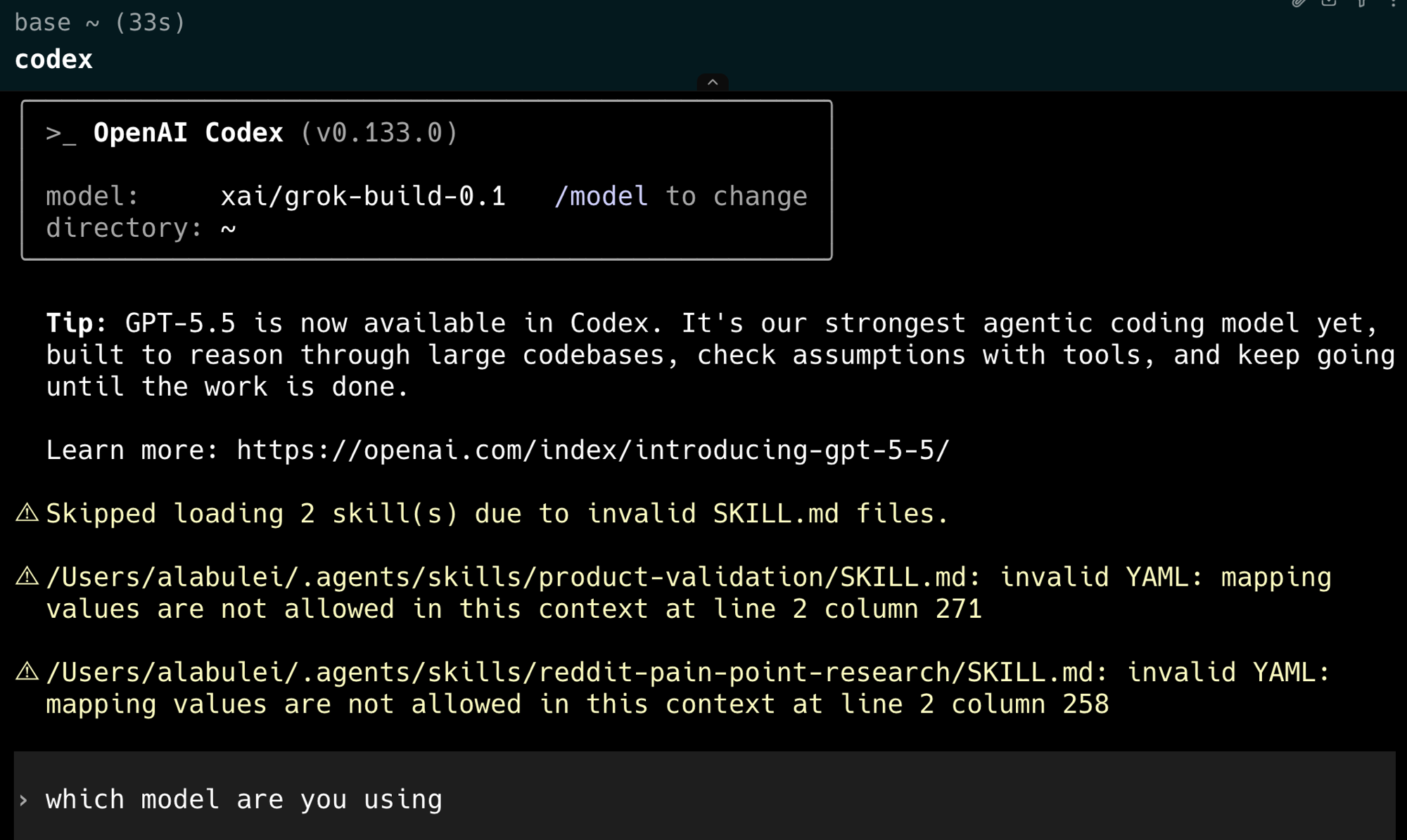 OpenAI Codex terminal showing model set to xai/grok-build-0.1 via Token Station